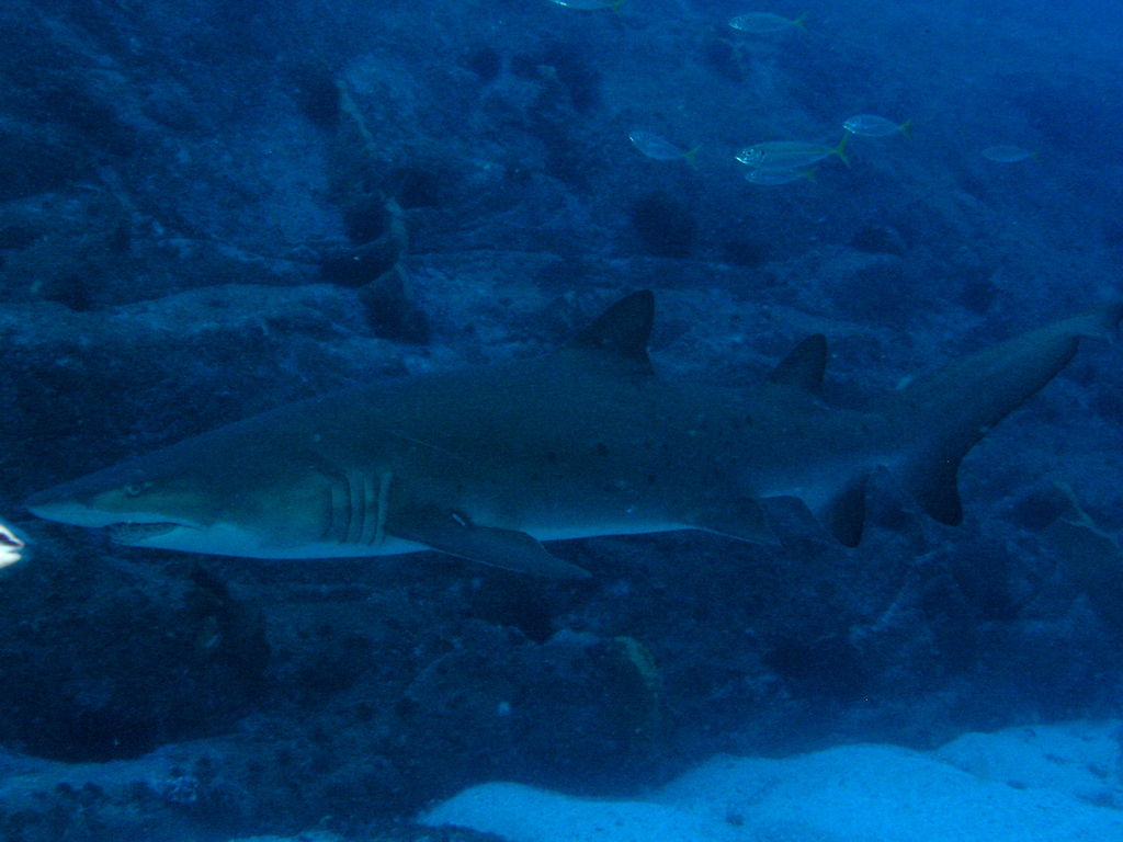 d5917208-2b3a-4b81-a529-b1a83c4e245e