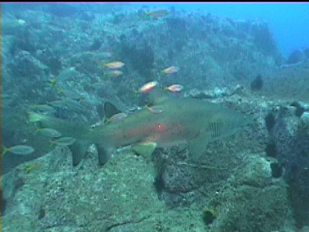 9693f44e-388d-44d3-a086-e2f7e1881d32