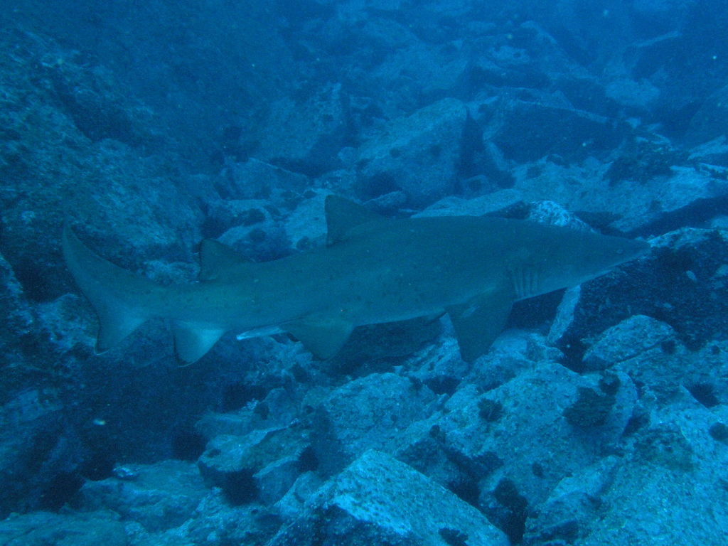 9693f44e-388d-44d3-a086-e2f7e1881d32