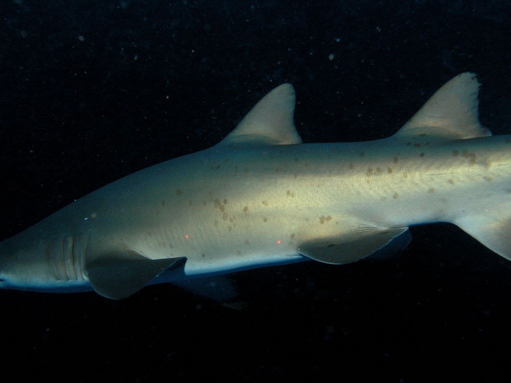 038dfc3d-d5a3-4a52-b5df-4e25e7472589