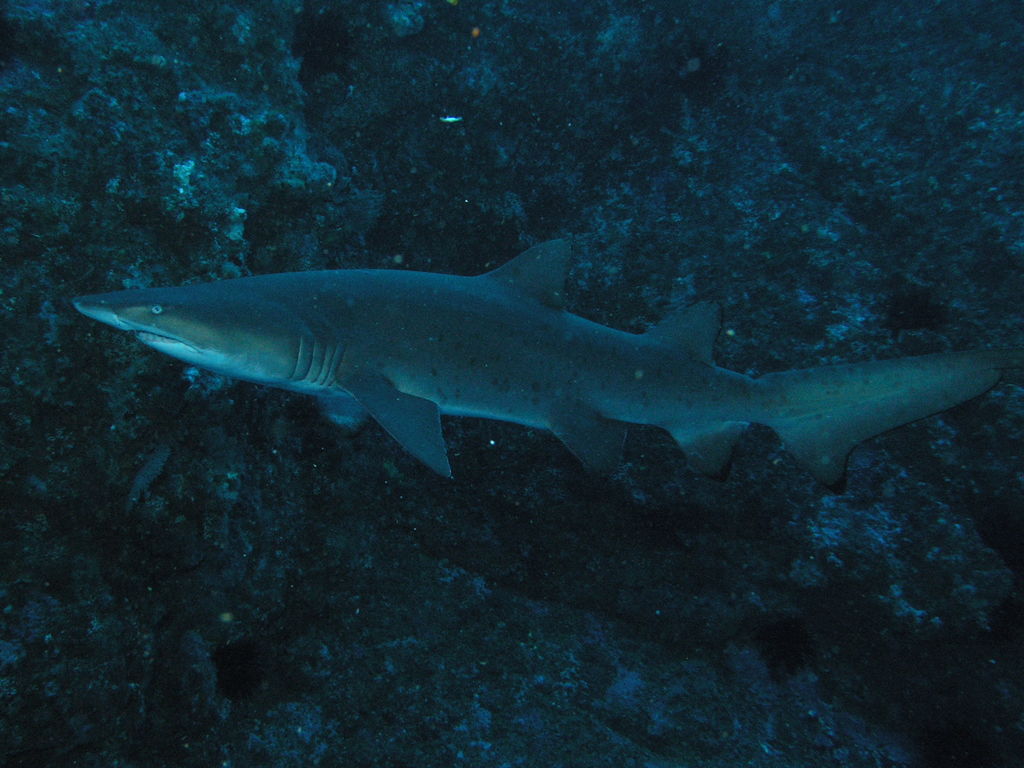 18d28a1c-658d-4fc2-b0f6-a2ea79adfe8d