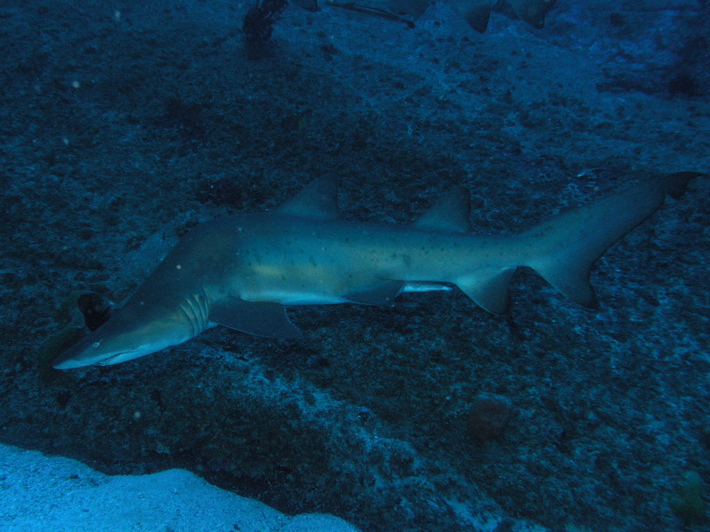 d8d5cde1-3862-4f6d-a65d-5f73d8de1edd