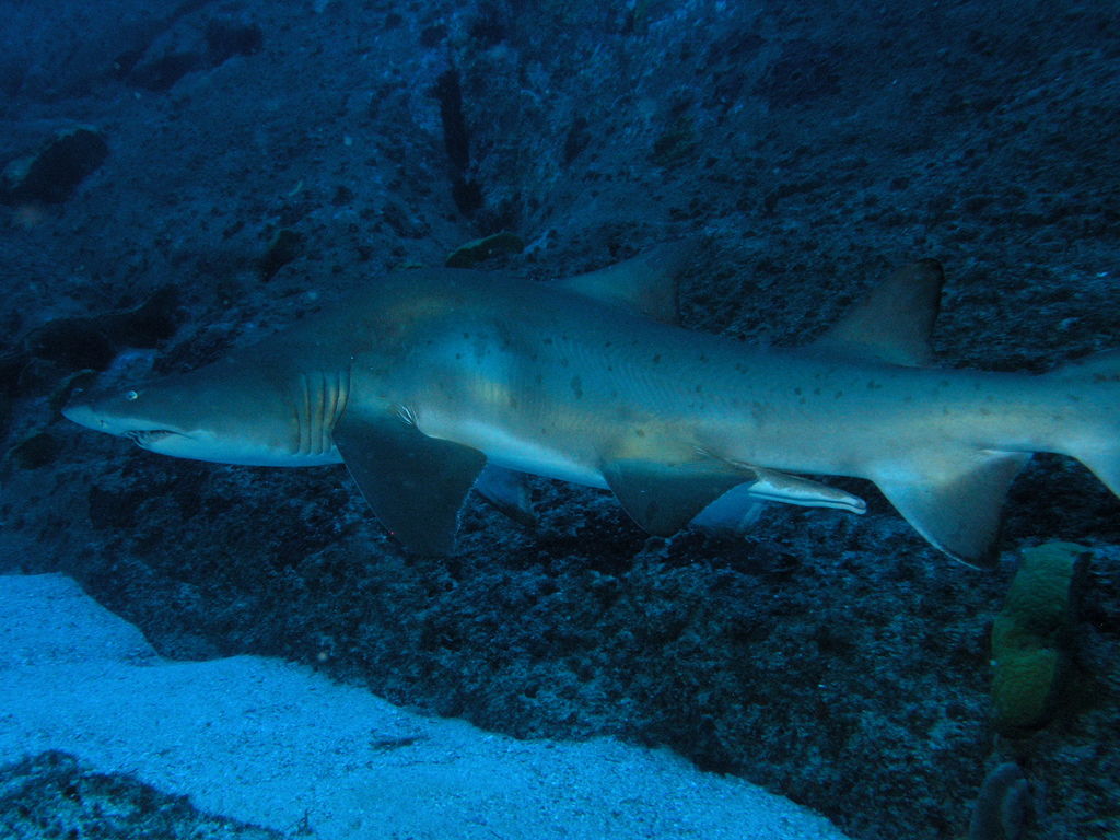 d8d5cde1-3862-4f6d-a65d-5f73d8de1edd