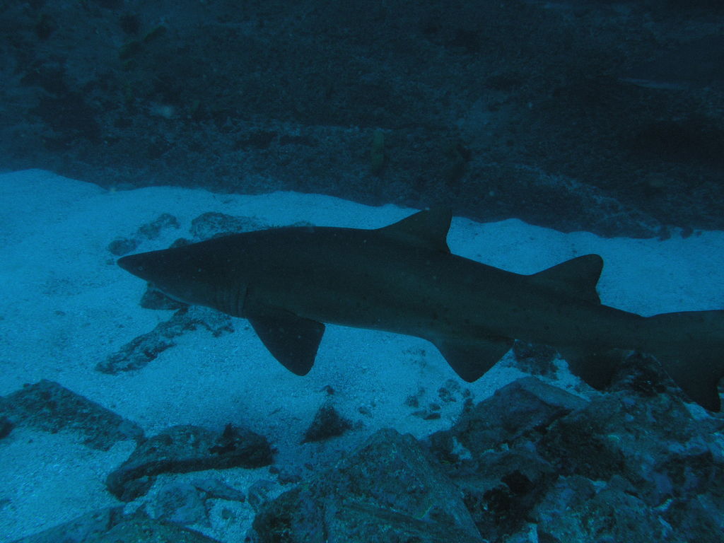 003ce9c4-cab1-4f0f-ba16-46c4405a7f73