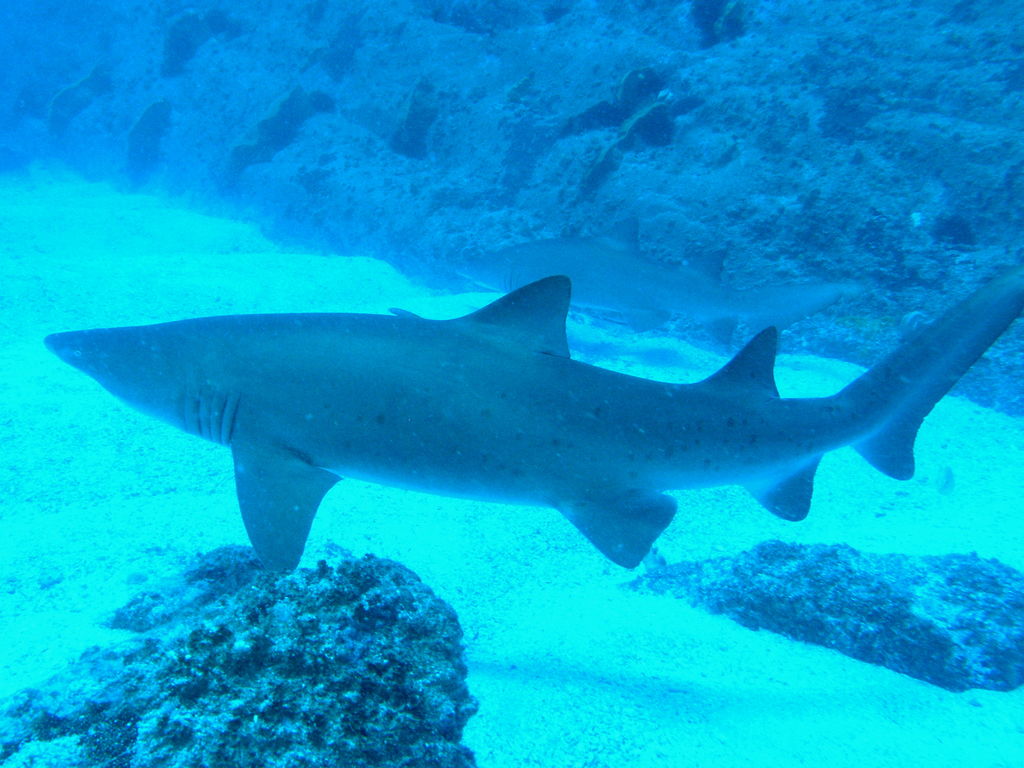 9de5bd35-30f5-4142-bf39-ef7d4782281f