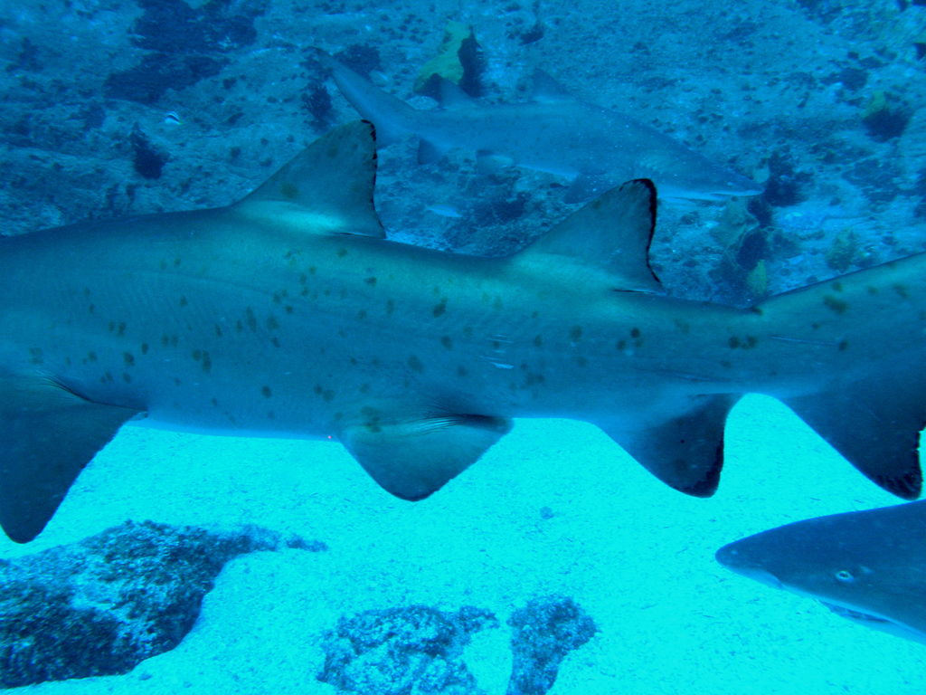 2b0ad4a5-c11d-4a80-93eb-6afbdb9c1647