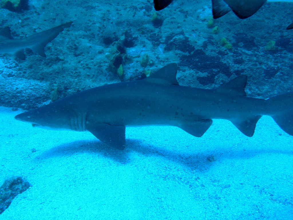 003ce9c4-cab1-4f0f-ba16-46c4405a7f73