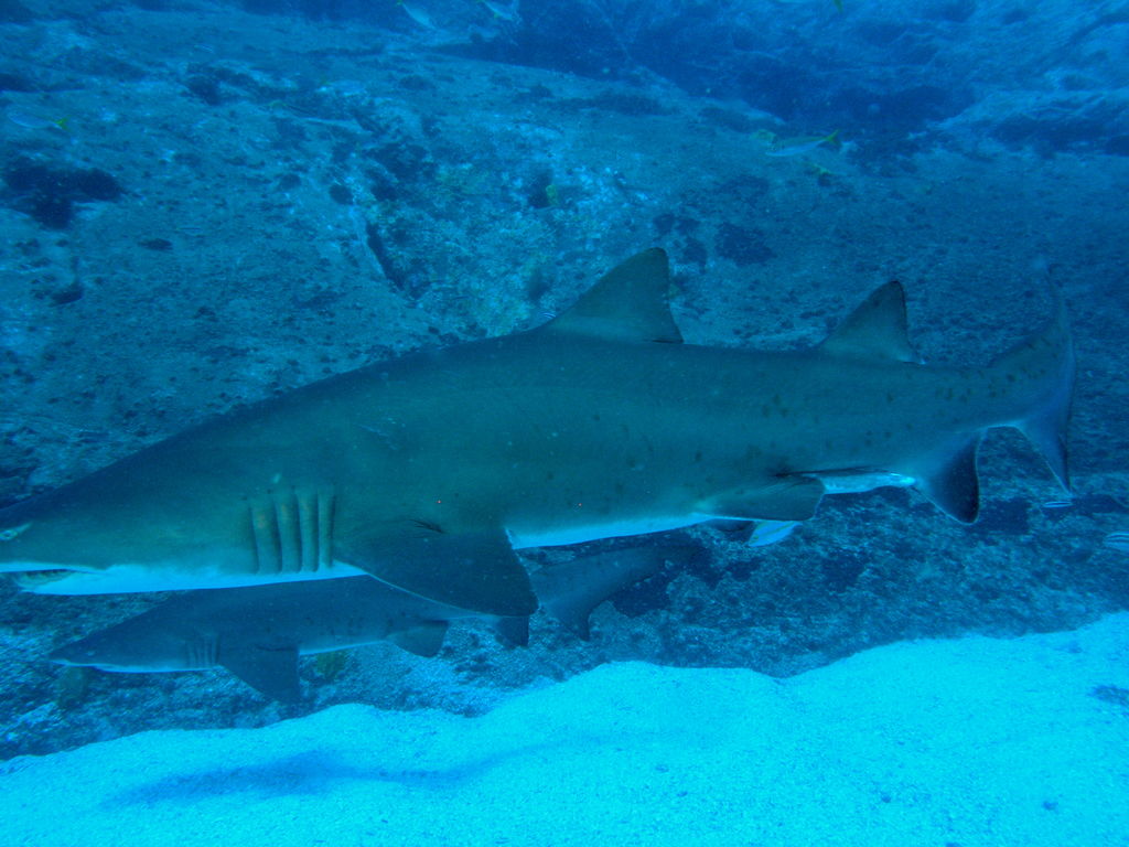 77a3df4e-d45e-4710-a92d-c5f076e23bc5