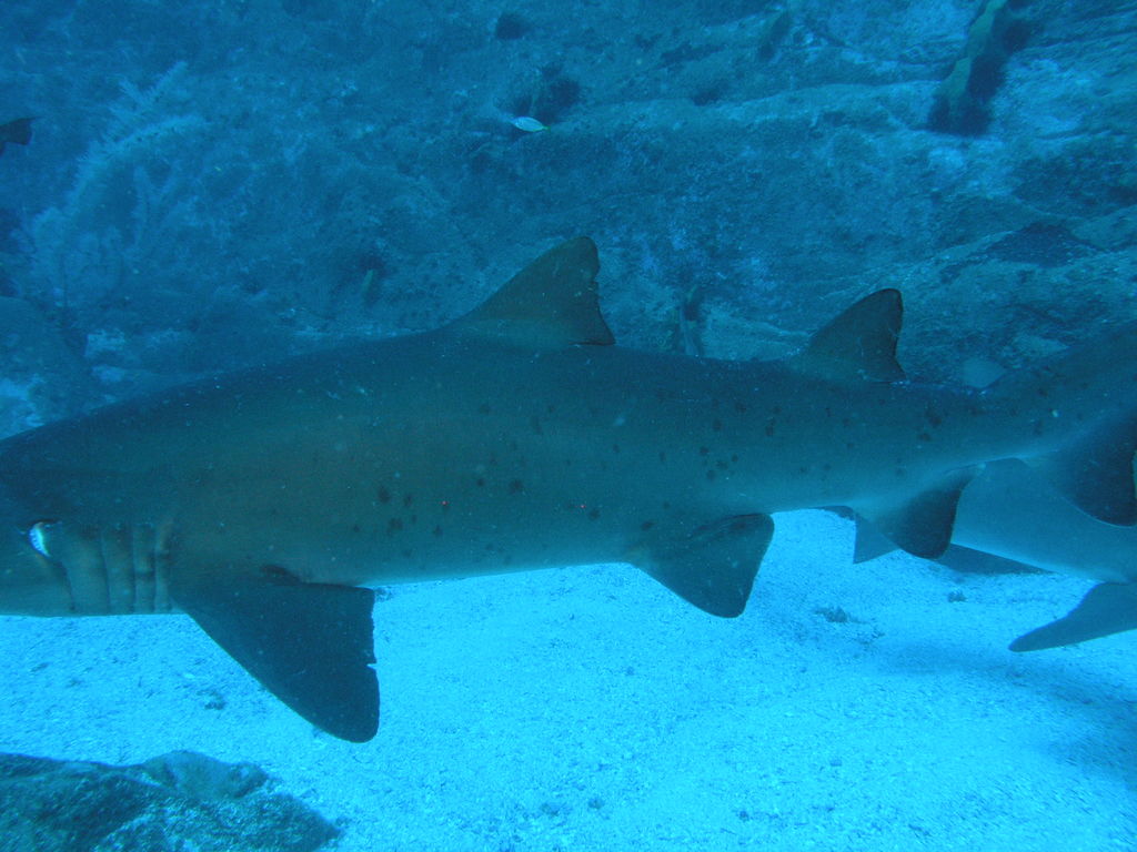 e27d2dc4-9a61-4ed8-a7e7-054183b8b6a0