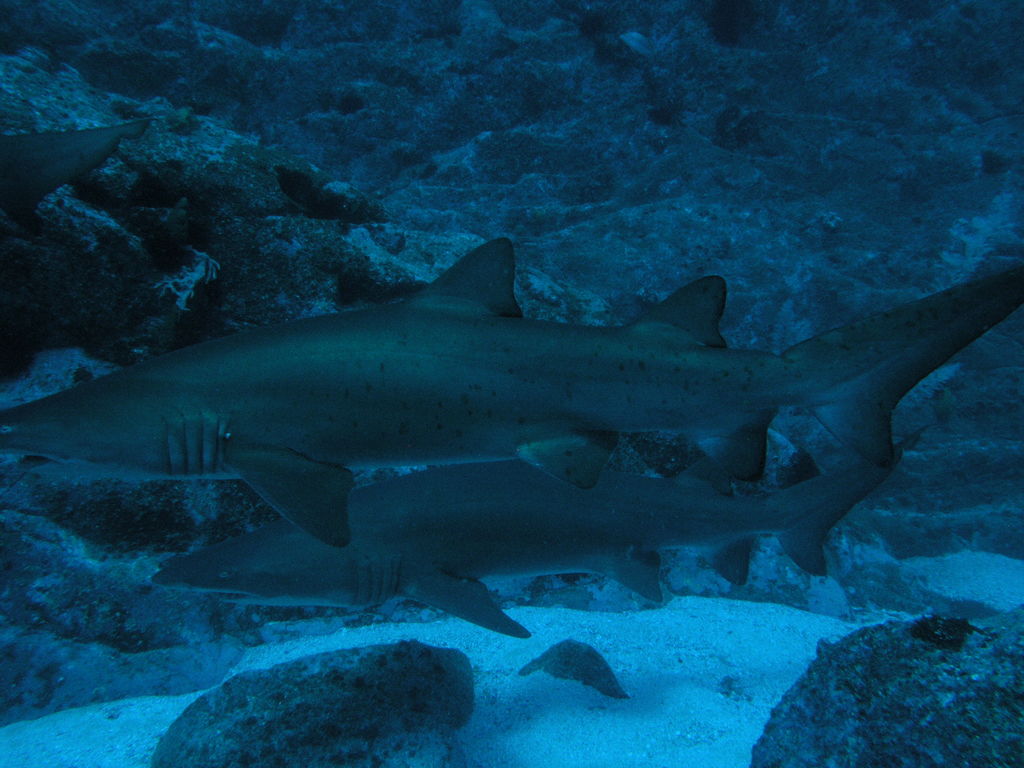 1b90ff1a-6087-47a9-872b-ac1a48cf477e