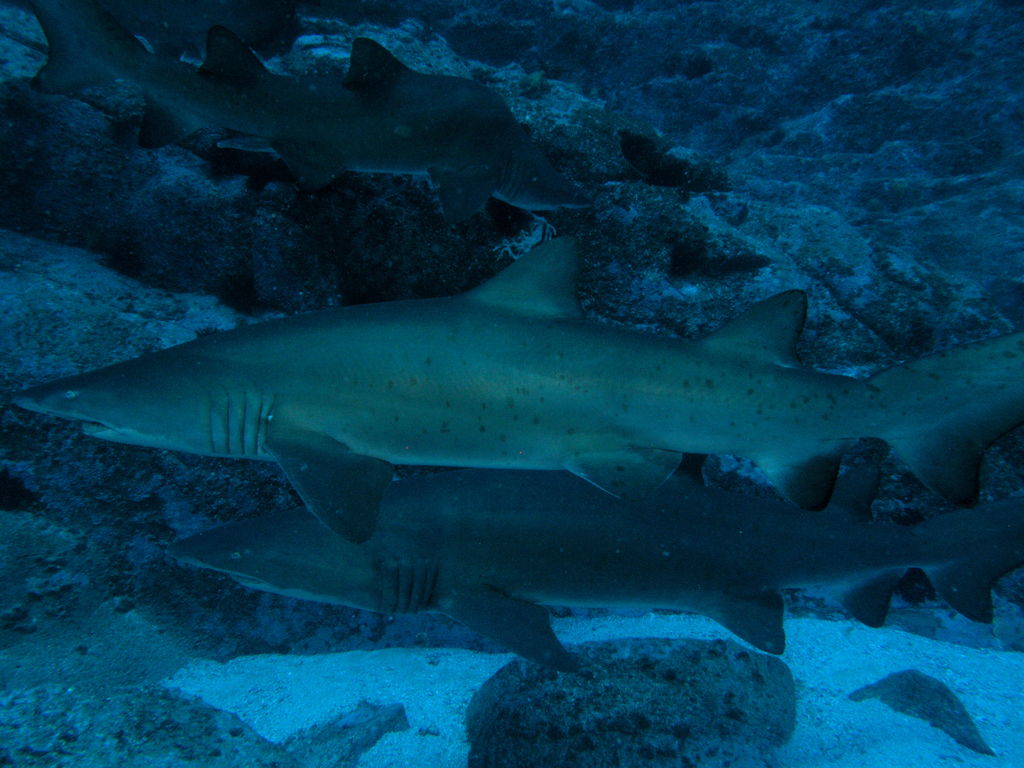 1b90ff1a-6087-47a9-872b-ac1a48cf477e