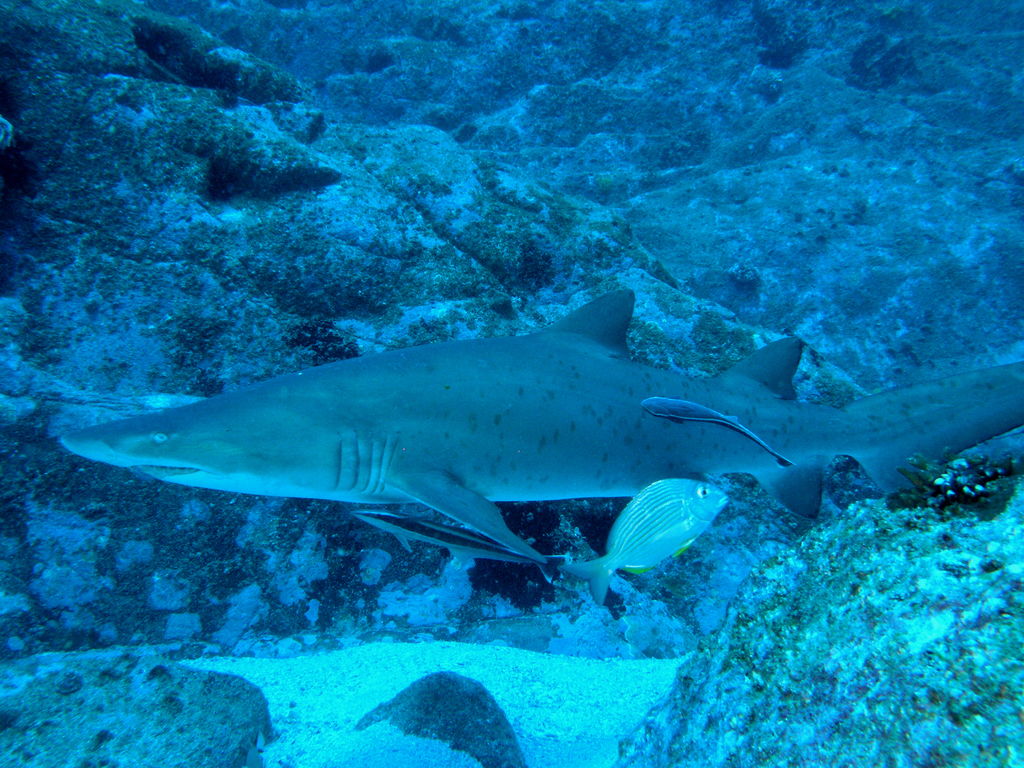 c6167e95-4626-4cb1-877f-ed65d76d05e4