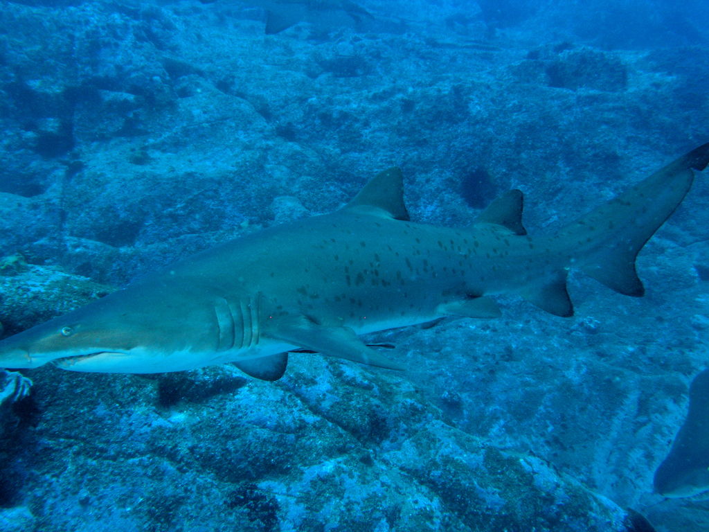 60ceb3f8-ee3d-4a0c-a24d-26321fa3cfab