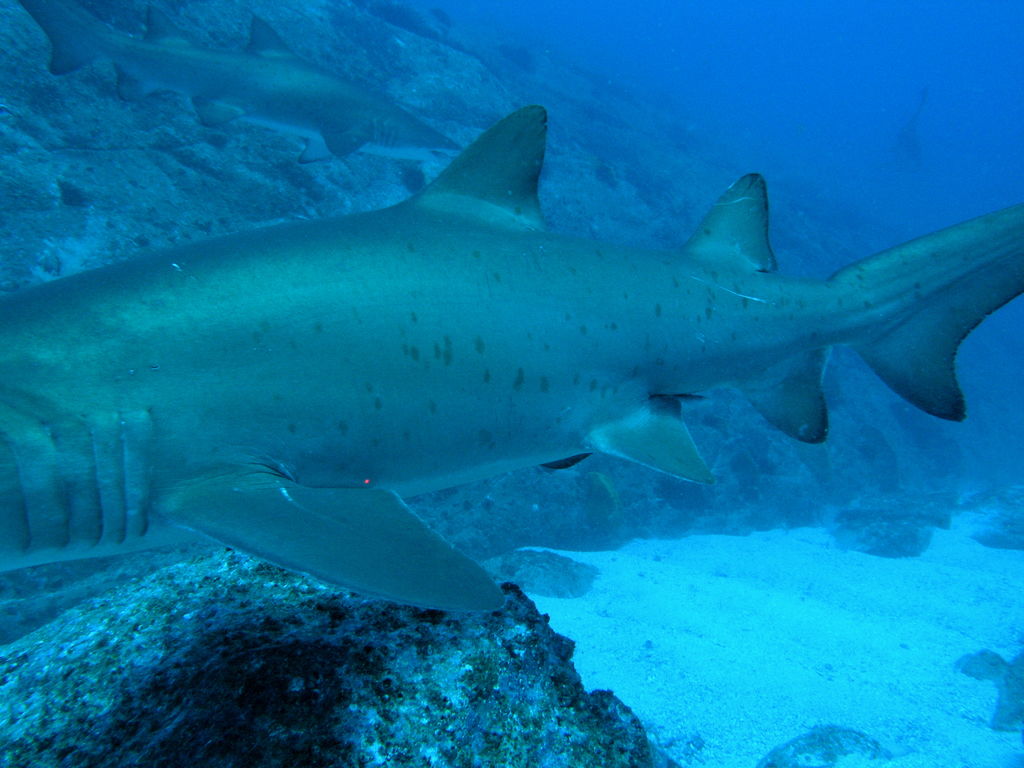 5df4d8af-2a66-4f2c-898c-82c306d19142