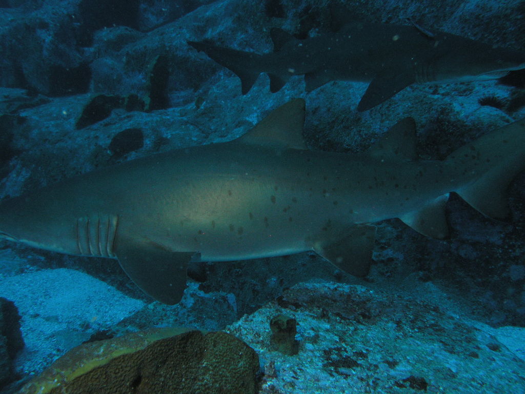 d566214d-5c52-415e-bf59-bc8b964361f2