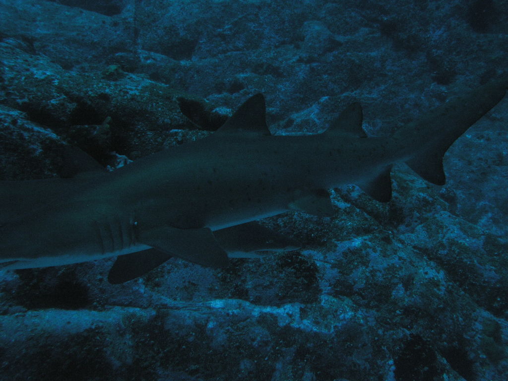 1b90ff1a-6087-47a9-872b-ac1a48cf477e