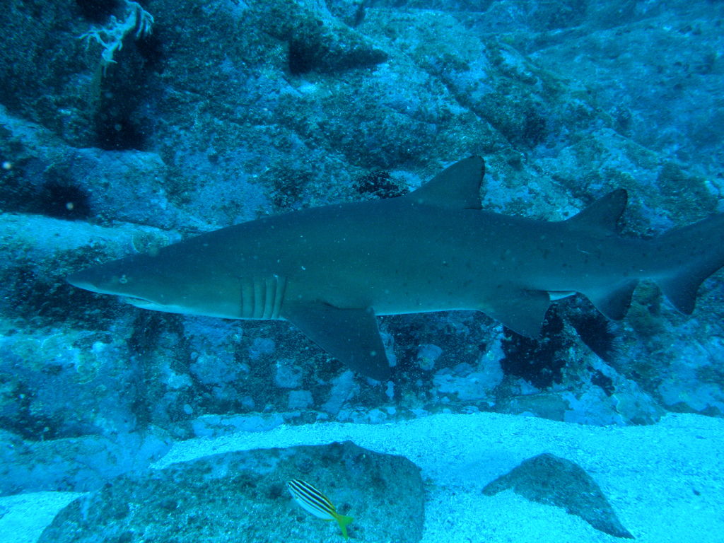 6885c86e-1cac-41fa-a280-8efd20e5d94d