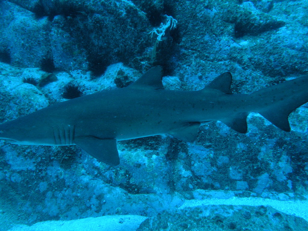 6885c86e-1cac-41fa-a280-8efd20e5d94d