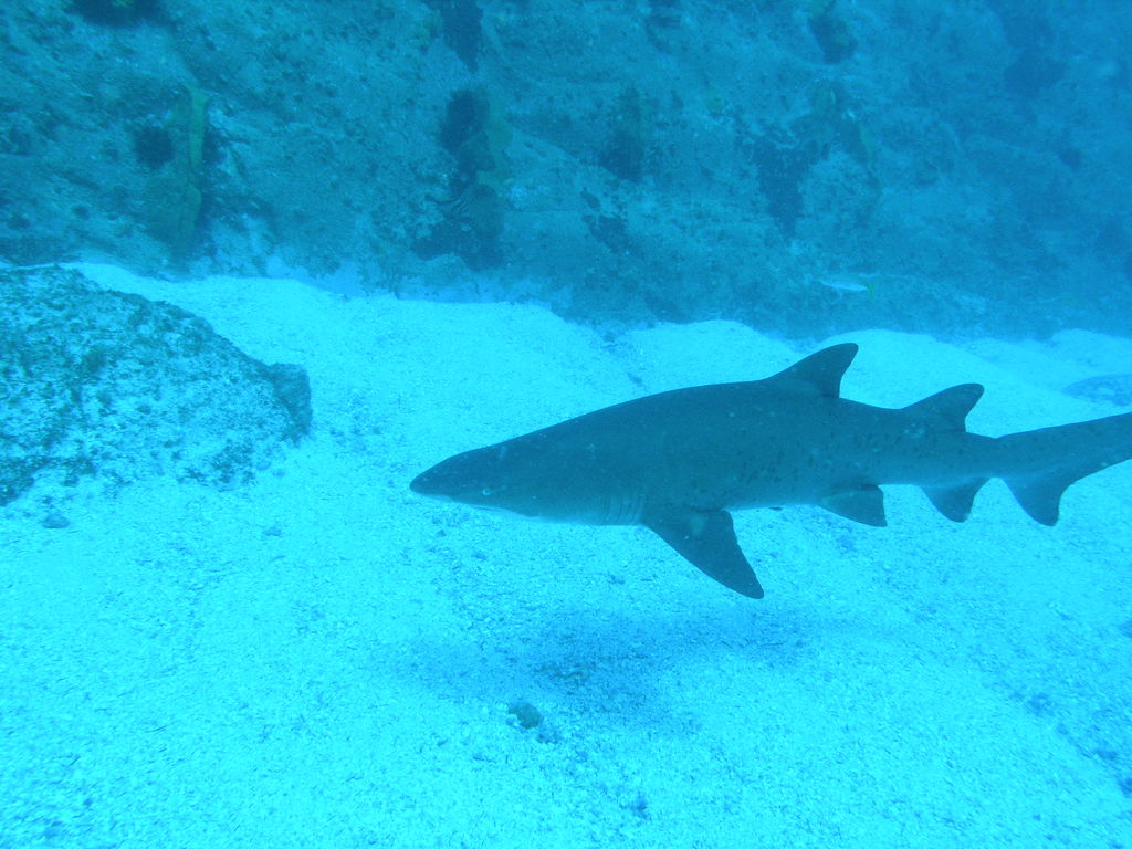 60ceb3f8-ee3d-4a0c-a24d-26321fa3cfab