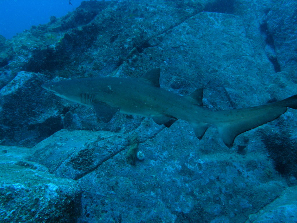 c44bef73-128e-43d1-b2a0-bac372c5d4a0