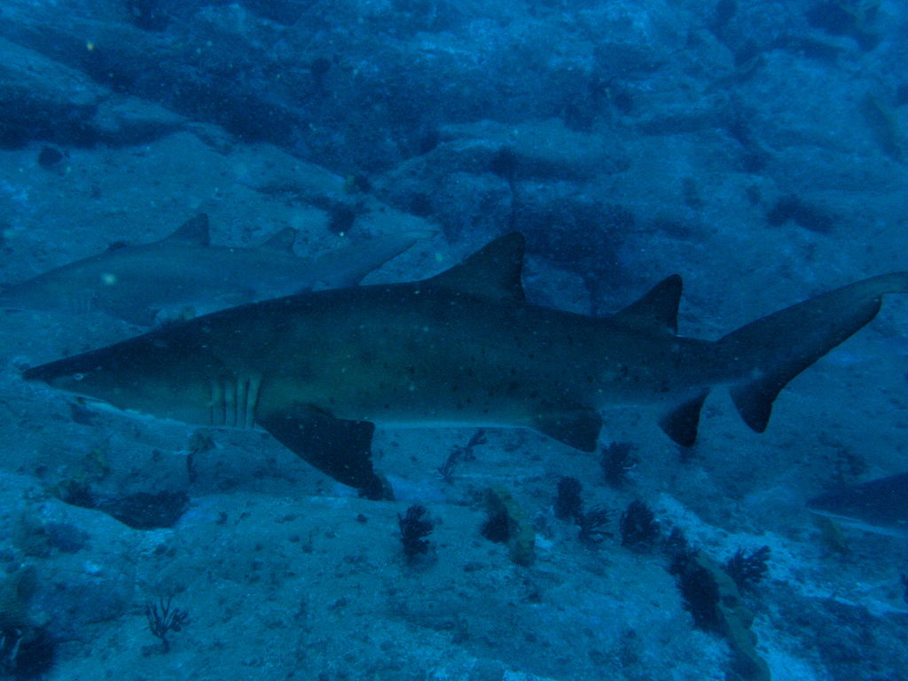 90e7d942-3483-41d4-a736-4e5eef1f17ac