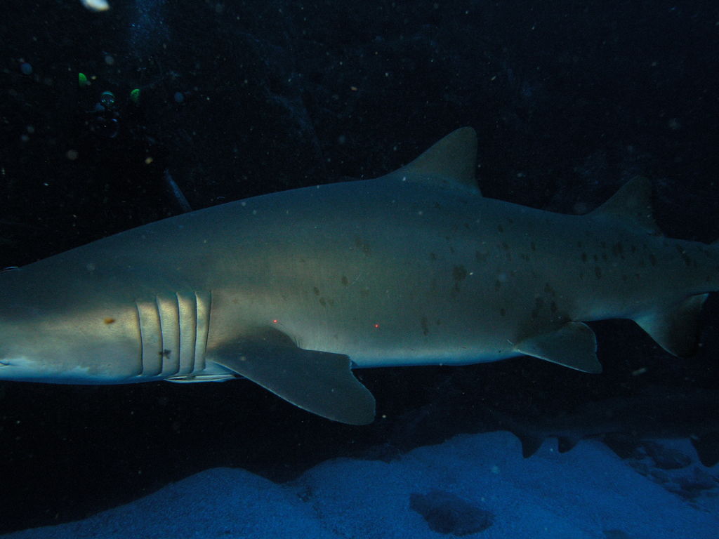 04d6e07e-d522-4e6e-8284-b6c36a91dbcd