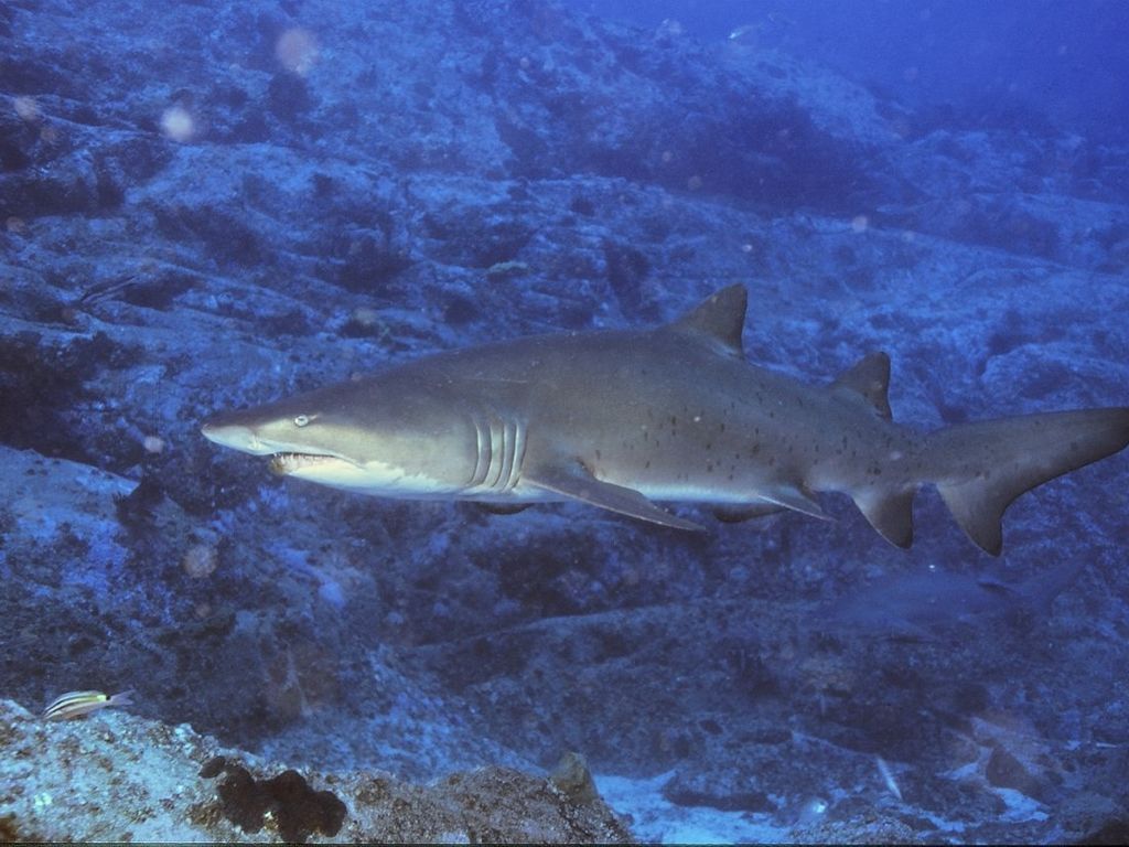 90e7d942-3483-41d4-a736-4e5eef1f17ac