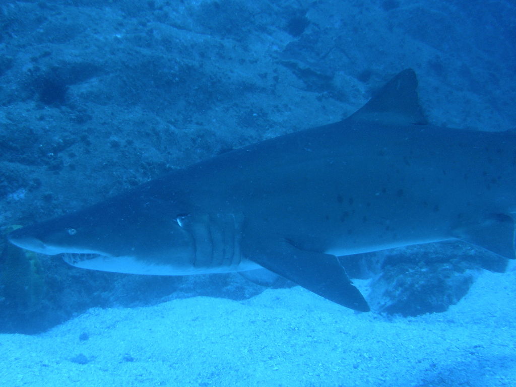 e27d2dc4-9a61-4ed8-a7e7-054183b8b6a0