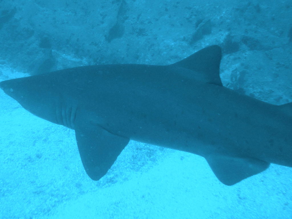 90e7d942-3483-41d4-a736-4e5eef1f17ac