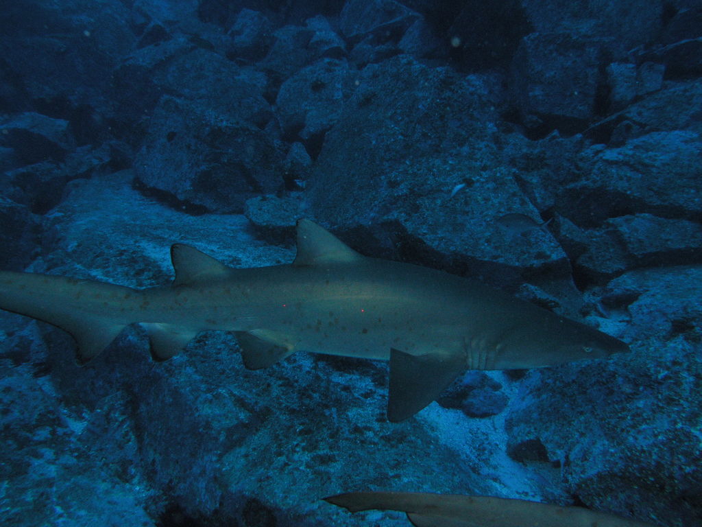 1b7b9feb-4293-4610-a380-bfb387aa3631