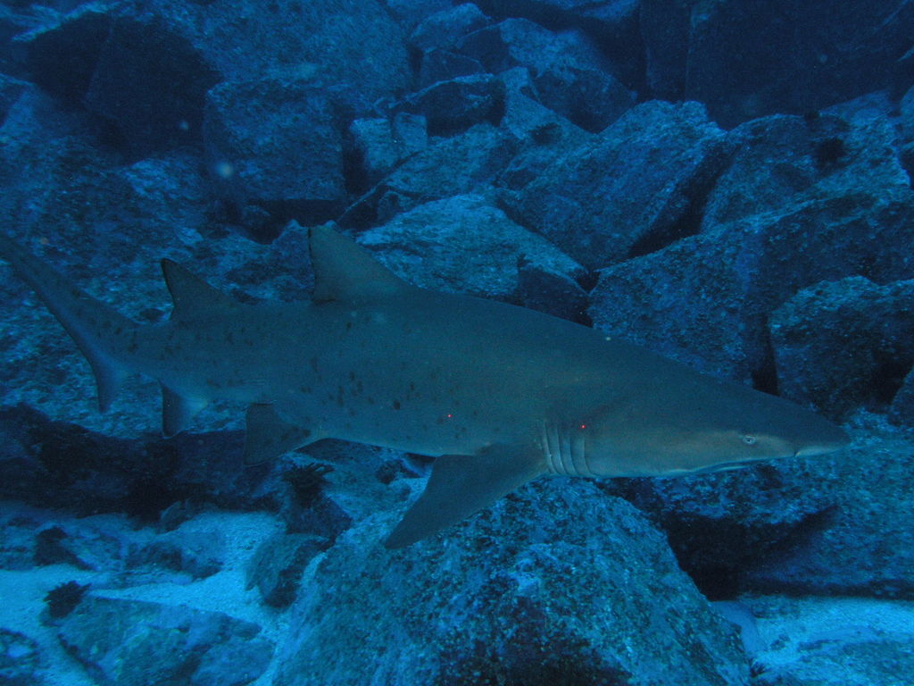 1b7b9feb-4293-4610-a380-bfb387aa3631