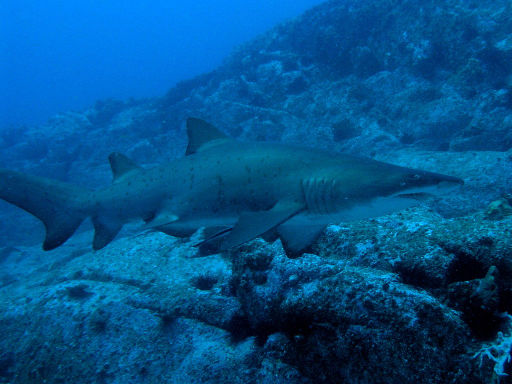 24fbf5b5-8dd7-4c2d-b708-b6a5ee829582