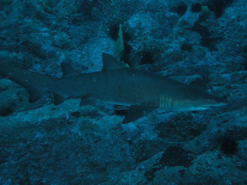 24fbf5b5-8dd7-4c2d-b708-b6a5ee829582