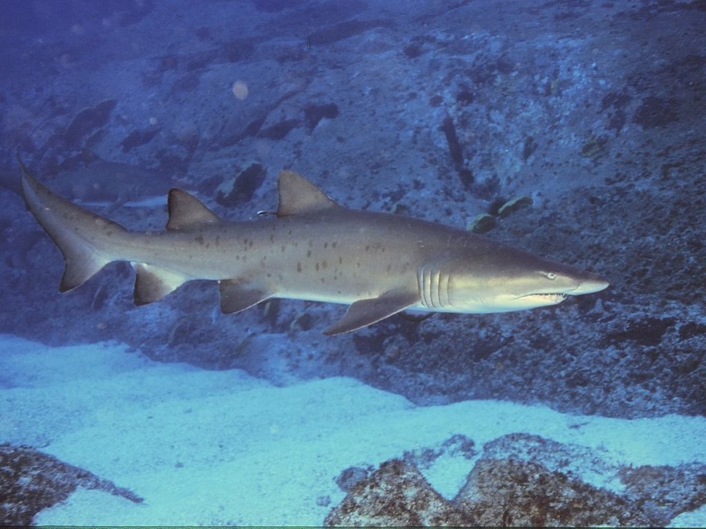 d5a183ec-f071-4103-8e0f-c7b3ec03160a