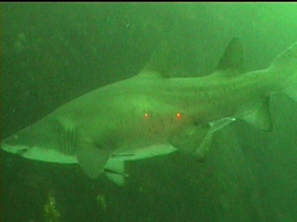 5b41dcec-b8b1-408d-9d3a-4aa5d2152899