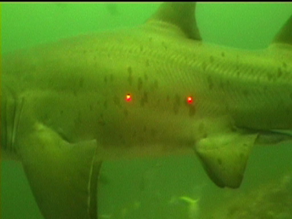 29033d5a-cdb0-4cb5-904f-b04cffee3a65