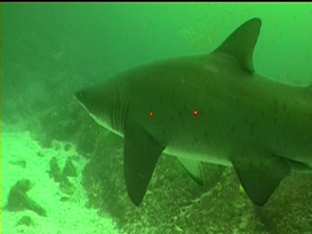 7997d142-d7fb-4fe1-a949-b28bfb994a49