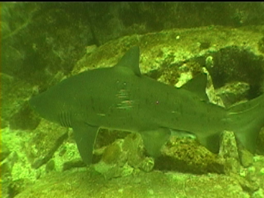 e05fb54e-4a7b-4960-8b2d-b14668b738a7