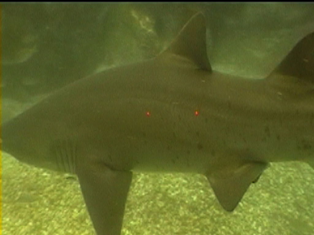 90e7d942-3483-41d4-a736-4e5eef1f17ac