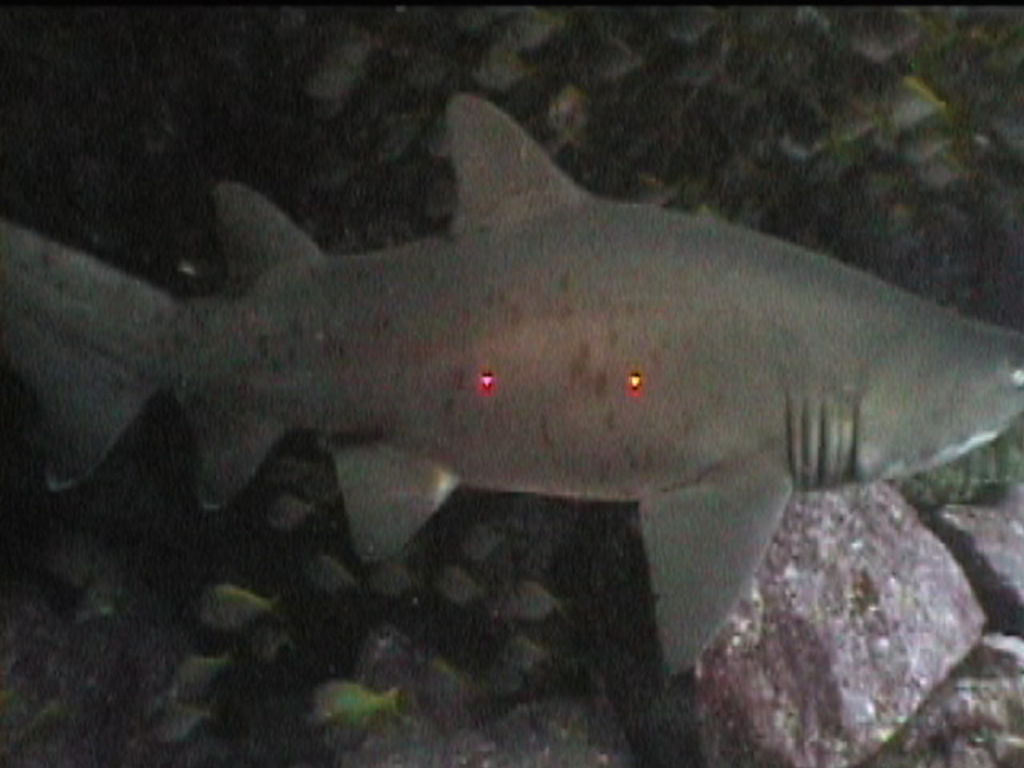 416222da-a5f9-43eb-abf7-a52030798e65