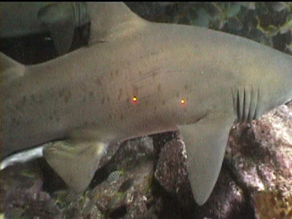 7476ddd3-0a8a-4611-ae02-91d1b2726f73