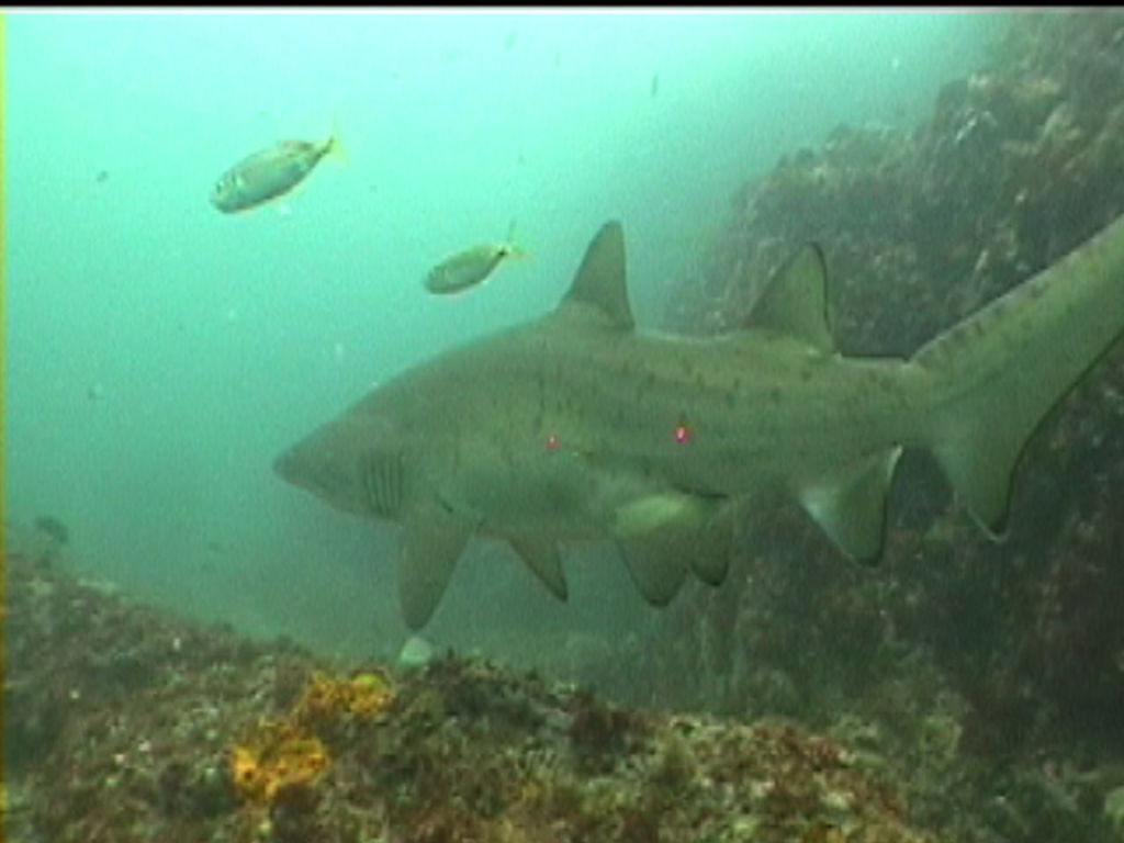 cc7eb717-2006-4d55-a5ec-9543864855b1