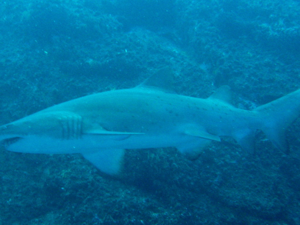 08892bcc-241d-4fd0-845d-ccbd4bea8021