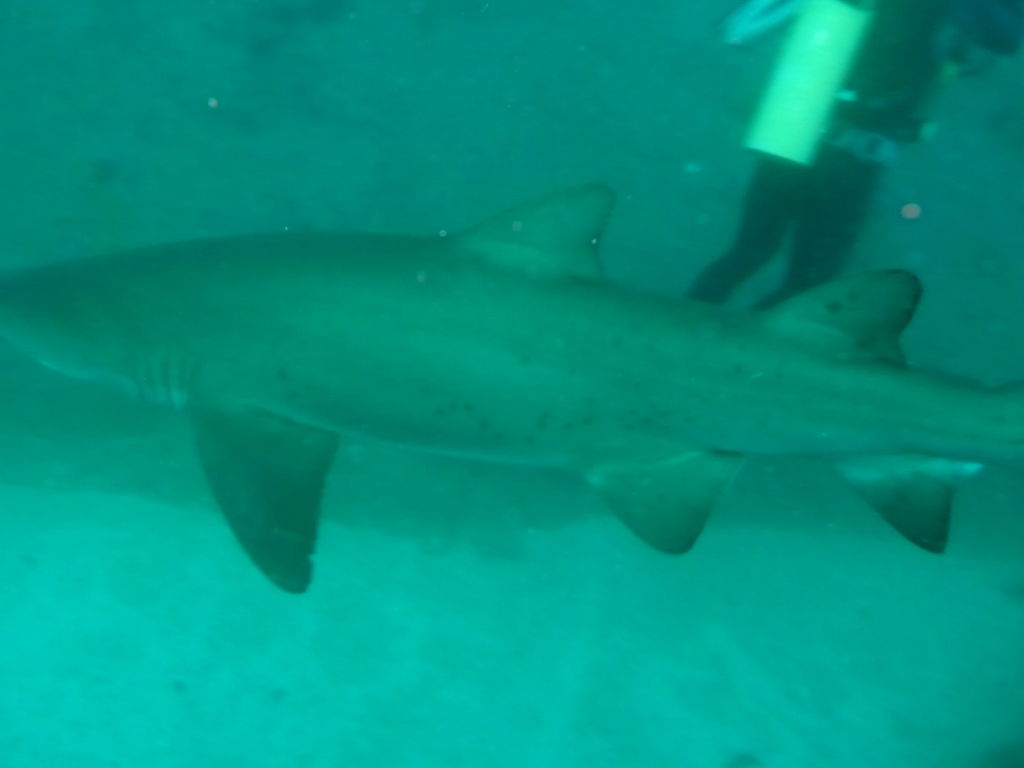 dc1c859f-a268-43c3-8467-6e0ad6b824a3