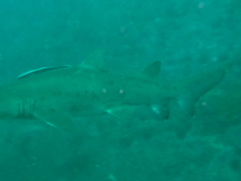 a69c1449-41e7-4cfa-adaa-fd48330ed0f0