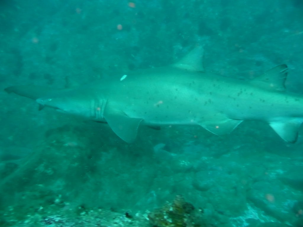 9d3ece1b-b79b-407a-86a8-62e277a10a24