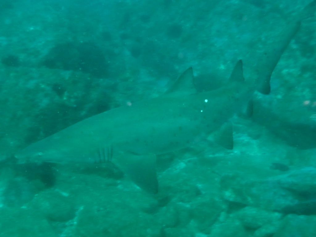 3aa37cca-5469-4cc2-8450-716ca74ddb28