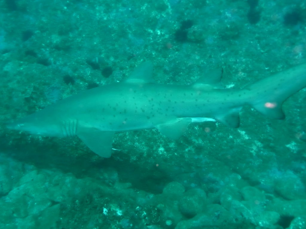 249f05c6-510d-4a84-983f-47cfba5a3933