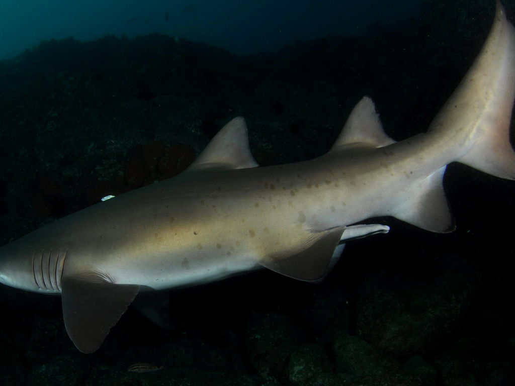 3713b1d6-5b33-46f1-8104-dcba42d31c79