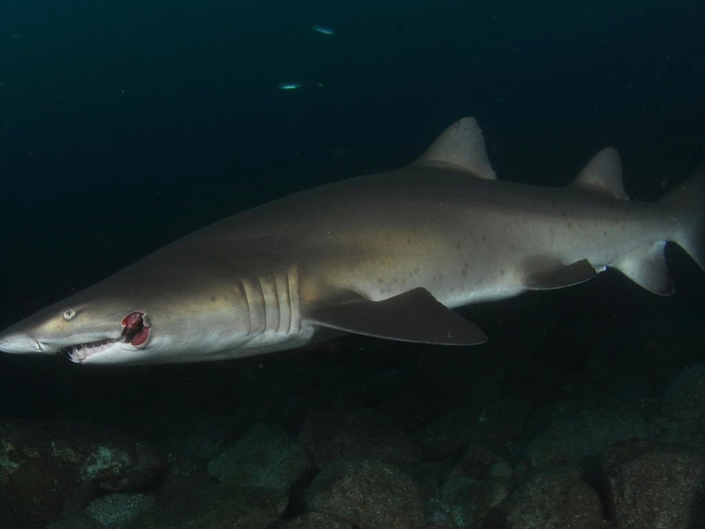 496e284e-ac6a-4f33-bd2d-028a311ca065